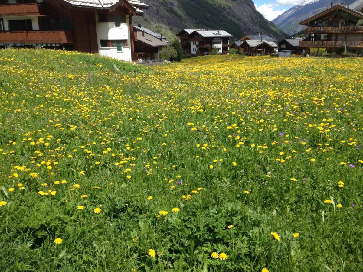 Haus Marico Apartment Zermatt Ngoại thất bức ảnh