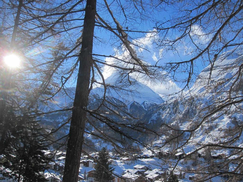 Haus Marico Apartment Zermatt Ngoại thất bức ảnh
